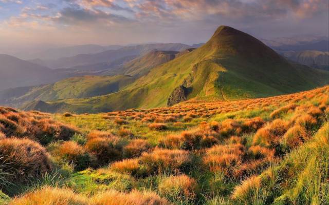 Leo suspendisse quam blandit aliquam parturient