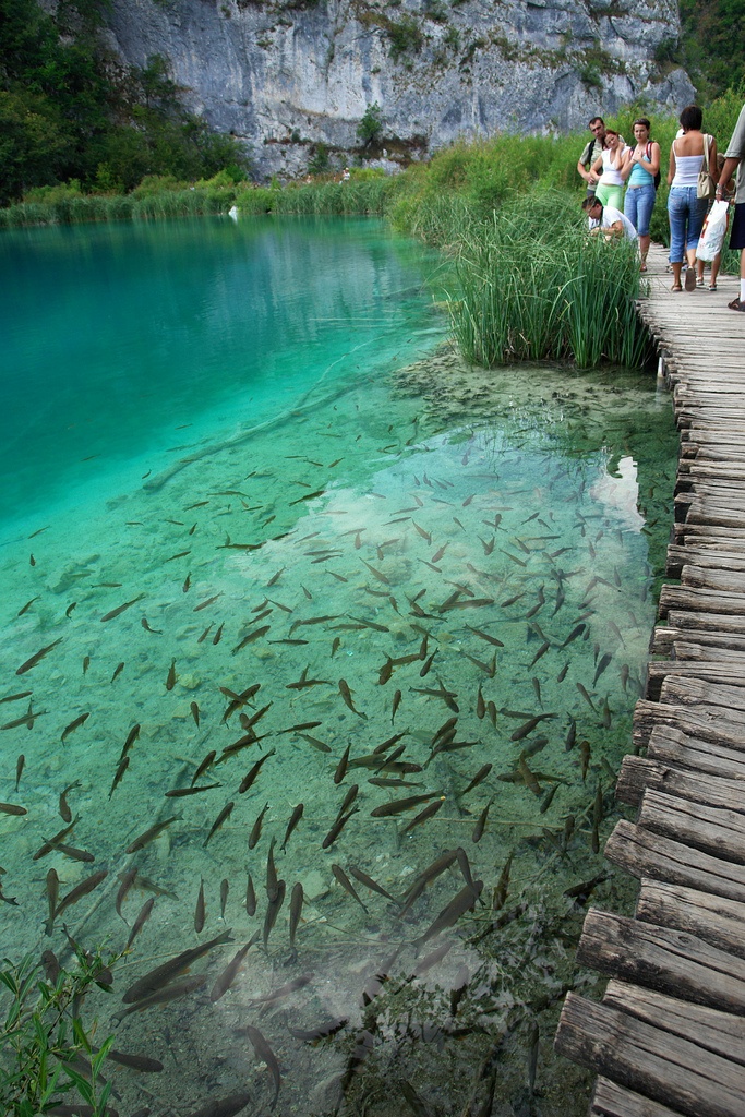 Na wakacje do Chorwacji Park Narodowy Jezior Plitwickich (3)